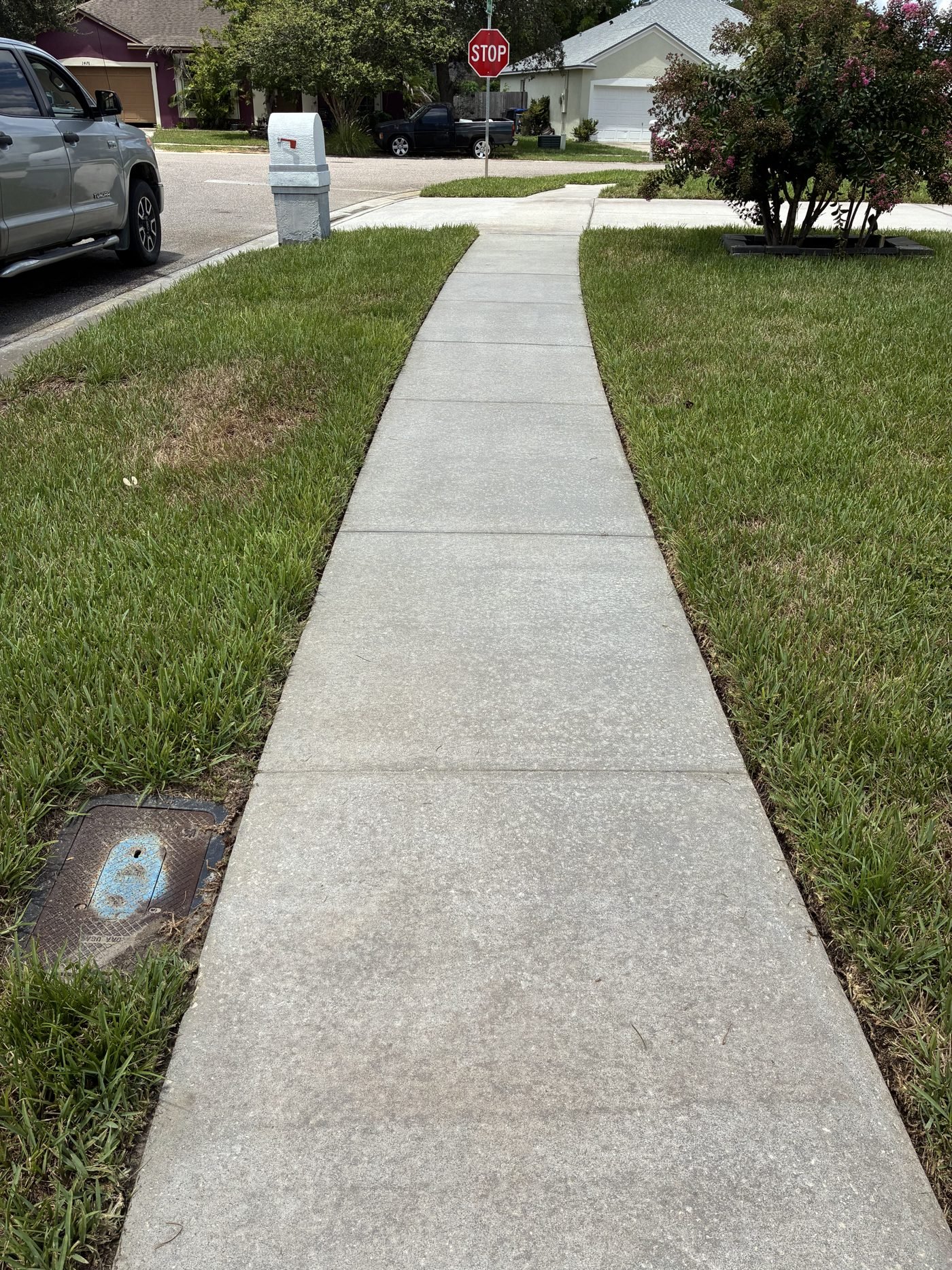 Walkway after cleaning