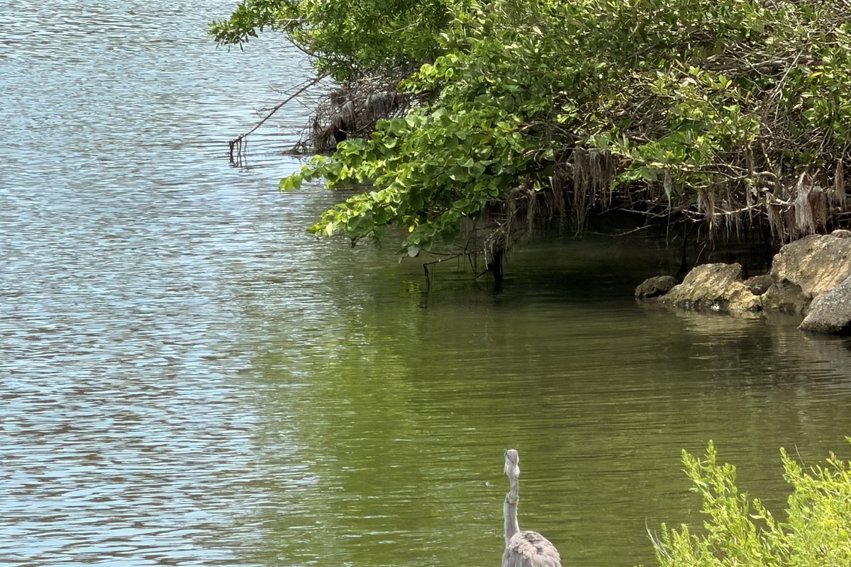 The Indian River Lagoon near Mims, Florida